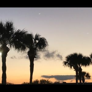 Meet your Posher, Dawn